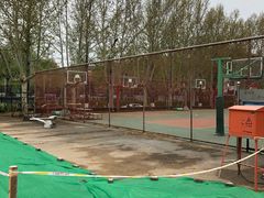 -清华大学-东区篮球场