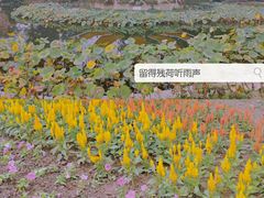 -石家庄市植物园