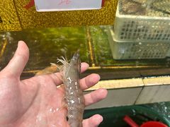 -华威西营里农产品批发市场
