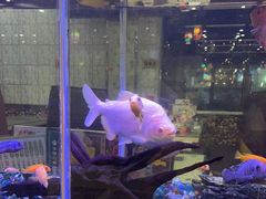 -新辉港式茶餐厅(北栅店)