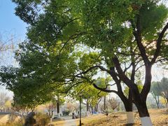 -堤角公园