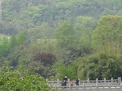 -龙头寺公园