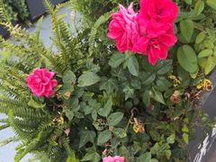 -汉水谣·江景餐厅(江滩店)