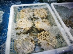 -盒马鲜生(大成店)