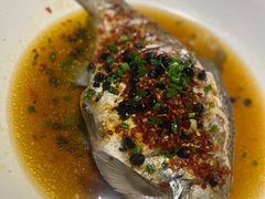 -味派菜园子(华章保利拾光荟店)