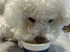 -霸王茶姬(西单百货店)