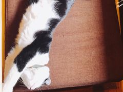 -猫的天空之城概念书店(杭州南宋御街店)