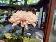 -汇龙潭