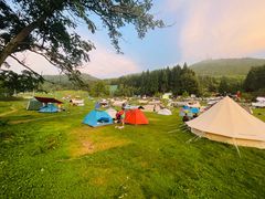 -武陵山森林公园