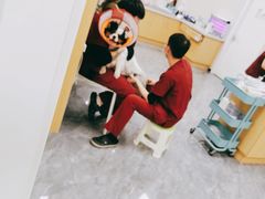 -美联众合爱康动物医院•复杂内科•肿瘤科•牙科•腔镜诊疗中心