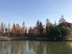-嘉北郊野公园