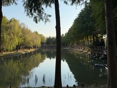 -上海浦江郊野公园-5号停车场