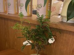 -CURRY YA 熟成咖哩專門店(深圳湾万象城店)