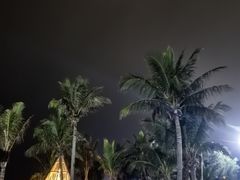 -玫瑰海岸文化旅游度假区