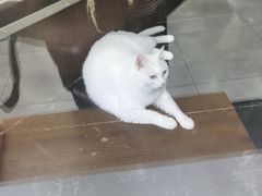 -弓舍射箭俱乐部(高新总店)