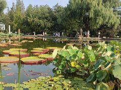 -国家植物园南园