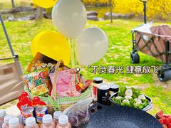 -上海滨江森林公园