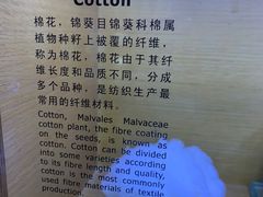 -上海纺织博物馆