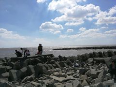 -南汇嘴观海公园