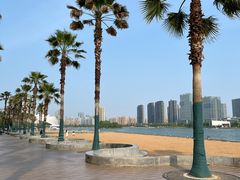 -金沙湖公园