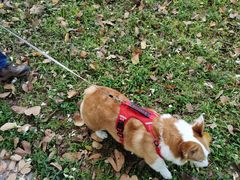 -感恩心素食馆(百世广场店)