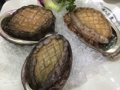 鲍鱼-港迹·鲜围煮海鲜火锅(湖州时代广场店)