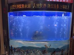 -潇湘码头·鲜湘菜(清河店)