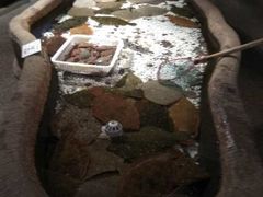 -郑庄脂渣海鲜楼(九水路店)