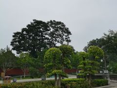 -西海子公园
