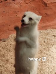 -Zoolung Zoolung动物主题公园(海信广场店)