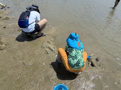 -刘家湾赶海园
