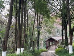 -重庆彩云湖湿地公园