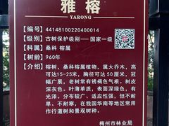 -神光山国家森林公园