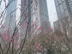 -陆家嘴中心绿地