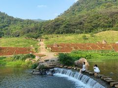 -广州市石门国家森林公园