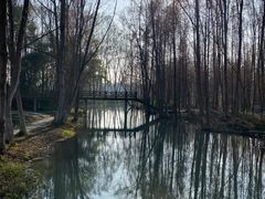 -桤木河湿地公园