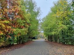 -上海海湾国家森林公园