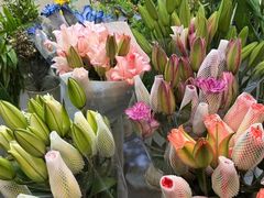 -双季花艺园艺市场(浦东店)