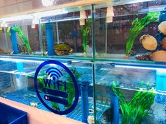 -富临港·蒸汽海鲜·手抓海鲜·炒菜(栈桥店)