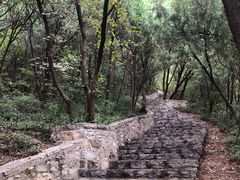 -千佛山风景名胜区