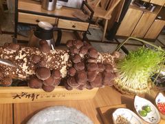 -大头椰·椰子鸡火锅(南宁万象城店)