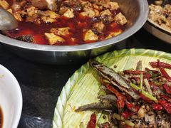 -一撮毛美食城(全力一路店)