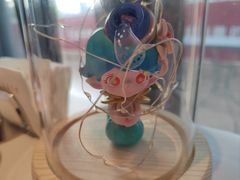 -王品牛排(珠海富华里店)