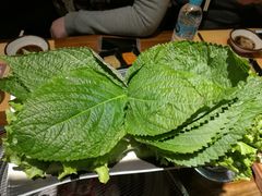 黍子叶生菜合盘-艺林烤肉城(光明店)