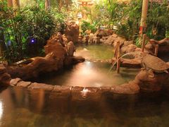 -龙达温泉生态城
