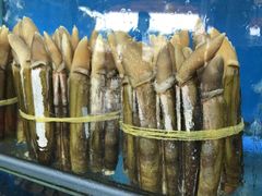 -蚝专家(北滘店)