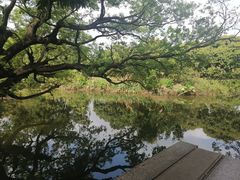 -御霞苑泥烩鸡休闲农庄