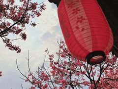 -宝墨园景区