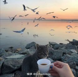 -HEYAN荷妍专业脱毛连锁机构