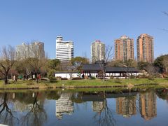 -和平公园